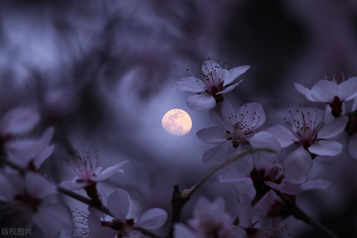 无可奈何_无可奈何的学习状态_无可奈何的工作困境