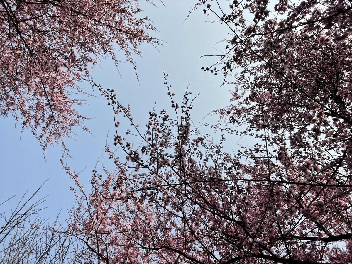 无可奈何_无可奈何的学习状态_无可奈何的工作困境