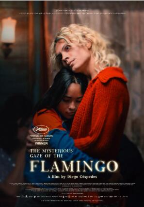 20251213221811.jpg 20251213221811.jpg