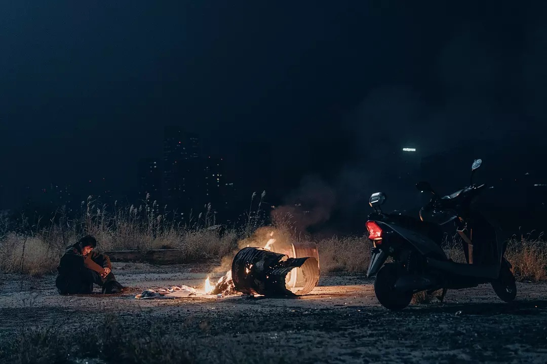 向光花盛开 影片分析 网络约S群体_向光花盛开