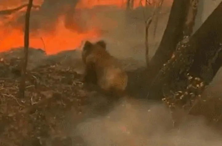 左撇子女孩_左撇子更聪明科学依据_左撇子大脑结构特点