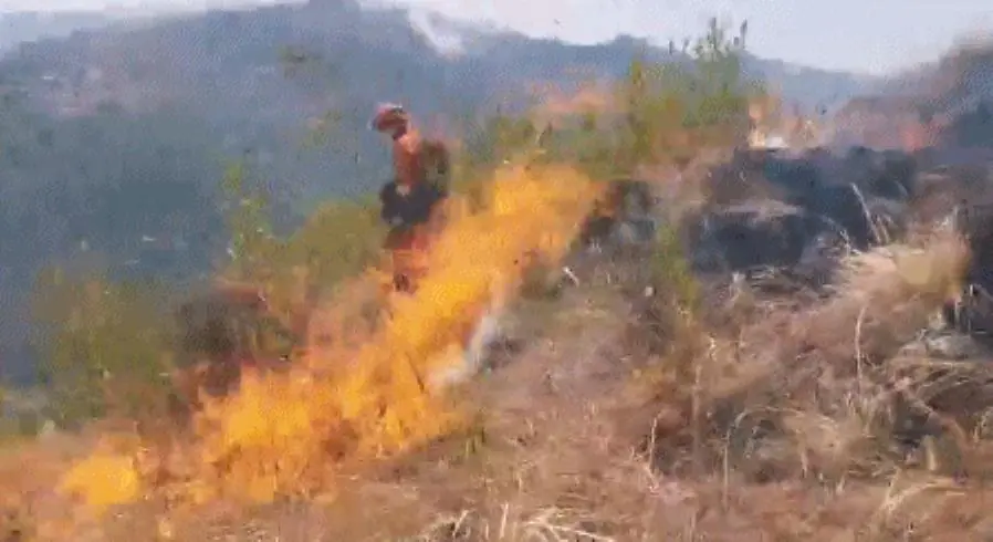 左撇子更聪明科学依据_左撇子女孩_左撇子大脑结构特点