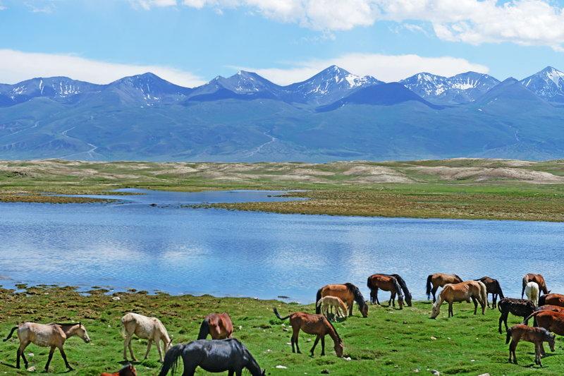 飞驰人生3_飞驰人生3韩寒细节彩蛋_WRC九冠王塞巴斯蒂安勒布客串