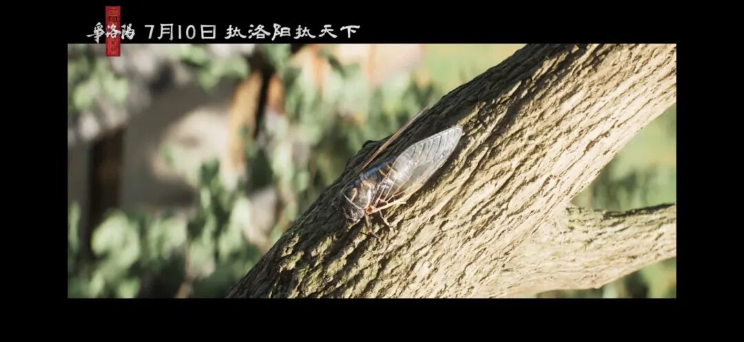 三国第一部争洛阳_三国第一部:争洛阳_追光动画三国系列