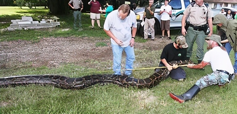 新狂蟒之灾_新狂蟒之灾_新狂蟒之灾