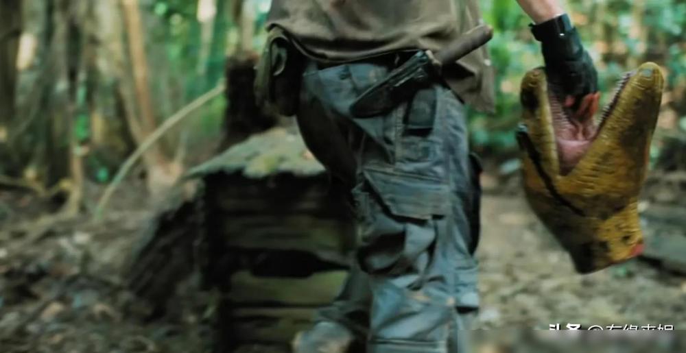 狂蟒之灾电影剧情分析_大蛇题材惊悚元素搭配美女角色_新狂蟒之灾