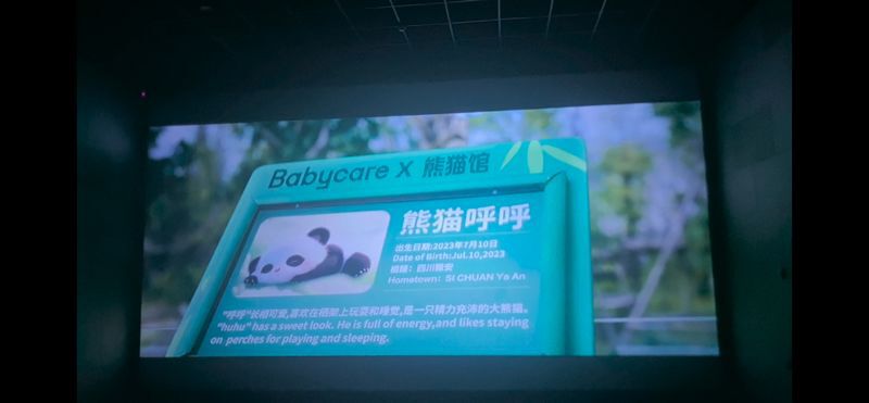 熊猫计划2_熊猫计划 成龙 熊猫呼呼