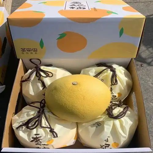 百万人推理_百万人推理 郑伊健 娄峻硕