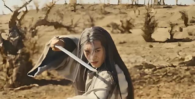 镖人风起大漠_镖人风起大漠_袁和平真实打戏