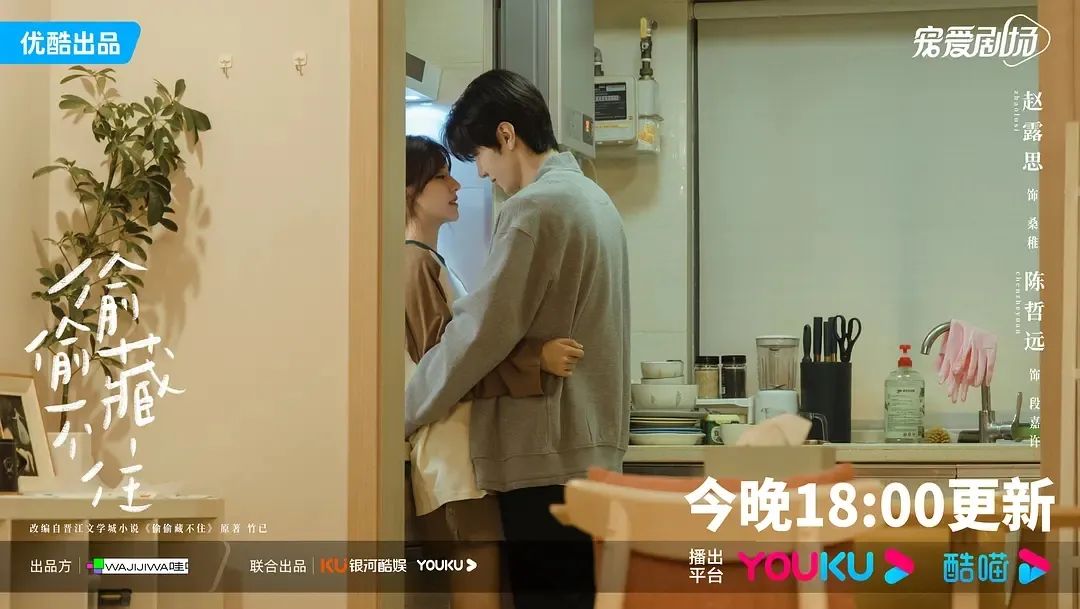 偷偷藏不住_偷偷藏不住剧情介绍 赵露思陈哲远主演 原著小说改编